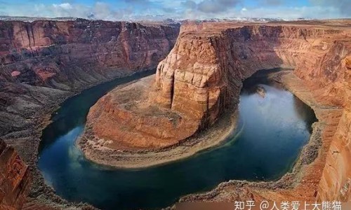 伏石蕨多少钱一斤-伏石蕨的功效网伏石蕨治什么病最好知识网站,分享伏石蕨的养殖注意事项大全