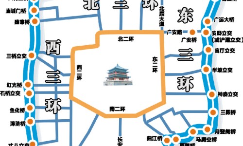 伏石蕨的功效网伏石蕨治什么病最好知识网站,分享伏石蕨的养殖注意事项大全